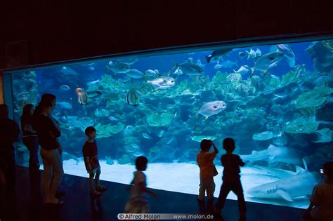 Photo of KL aquarium. Golden Triangle, Kuala Lumpur, Malaysia