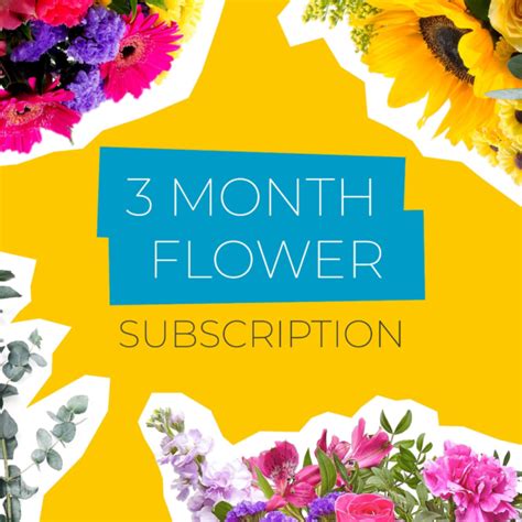 3 Month Flower Subscription - Lorinsworld.com