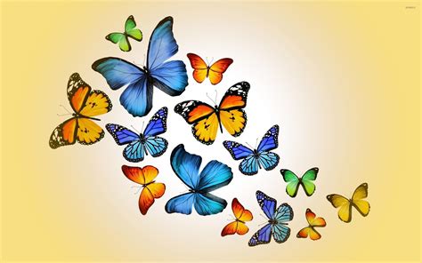 Orange and blue butterflies wallpaper - Artistic wallpapers - #52809