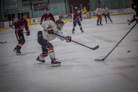 Coyotes trim roster as season opener approaches - TimesChronicle.ca