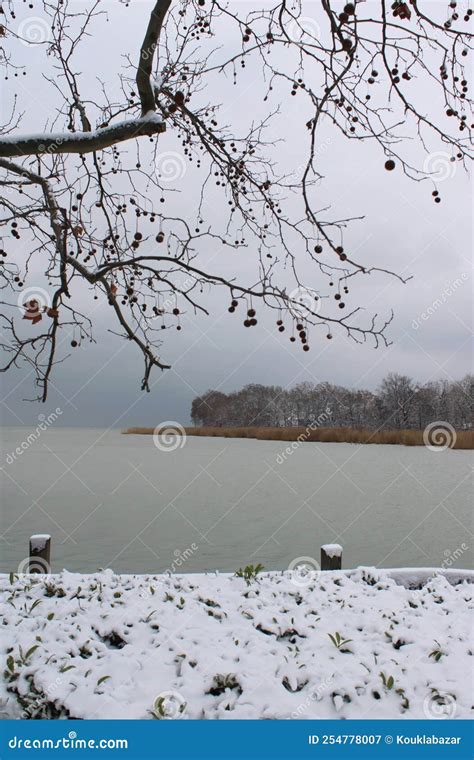 Beautiful of Lake Balaton at Winter Stock Image - Image of colorful ...