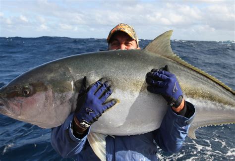 Gambler Fishing Charters Whakatane, Fishing Charter Bay of Plenty, Game Fishing White Island