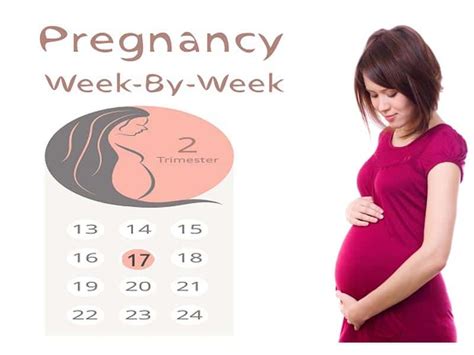 17 Weeks Pregnant: Symptoms, Baby Development & Care