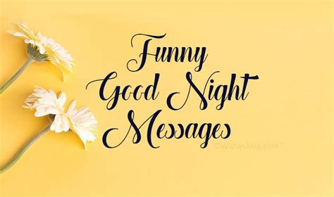 50+ Funny Good Night Messages and Wishes - WishesMsg