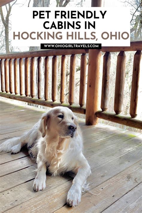 Pet Friendly Cabins In Hocking Hills Ohio - Ohio Girl Travels