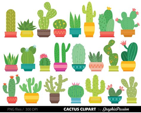 Cactus clipart, Cactus Transparent FREE for download on WebStockReview 2023