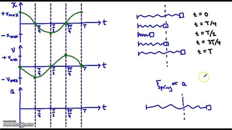 Simple Harmonic Motion Graphs IB Physics - YouTube