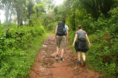 15 Days Coorg Trekking Package, Karnataka- Shikhar Travels