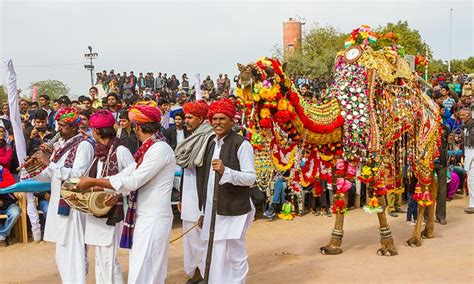 Bikaner Camel Festival Vacation Package, Camel Safari Trip - India-Tours