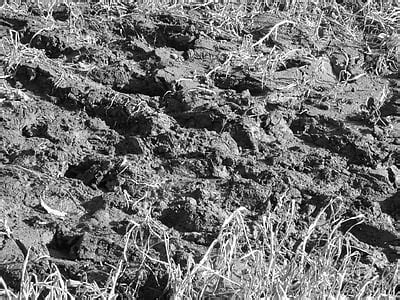 Free photo: dirt, soil, potting, mix, ground, mud, planting | Hippopx
