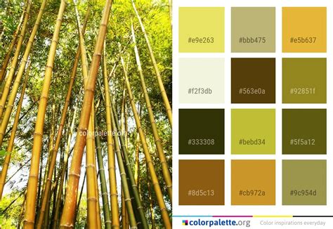 Bamboo Color Palette