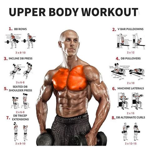 Gain muscle quickly with this full body workout and the ultimate ...