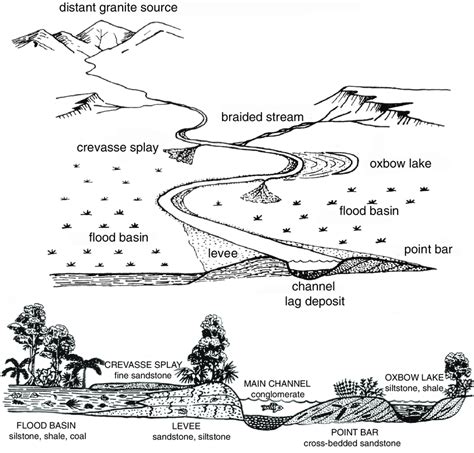 Depositional environments typical of meandering rivers. | Download Scientific Diagram