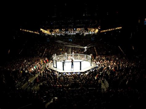 UFC Cage Wallpapers - Wallpaper Cave