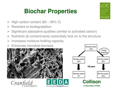 PPT - Biochar Properties & Production Techniques PowerPoint ...