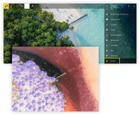 Invert Colors Photo Paint