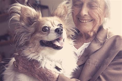 "Emotional loneliness”: Should residents’ pets be allowed in all aged care homes? - Hellocare