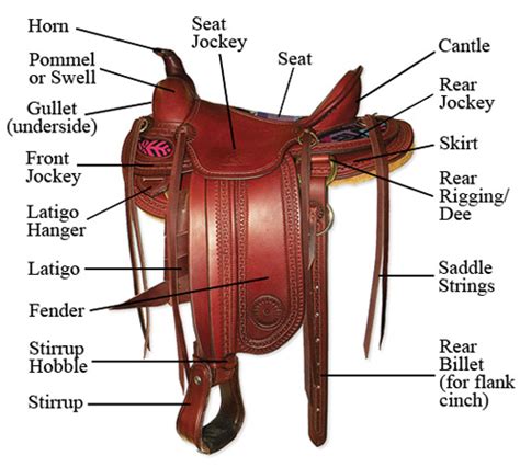 Parts of the Saddle - Synergist Saddles