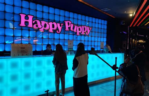 Harga Karaoke Happy Puppy 2024: Beberapa Cabang Di Indonesia