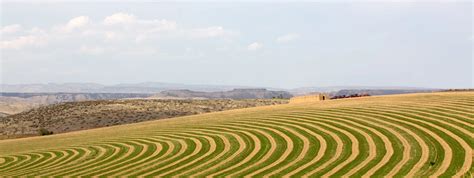 Contour Farming & Sponge Cities | Big Bear Engine Company