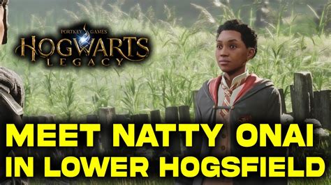 Meet Natty Onai in Lower Hogsfield | Hogwarts Legacy Guide | Meet With Natty Quest - YouTube