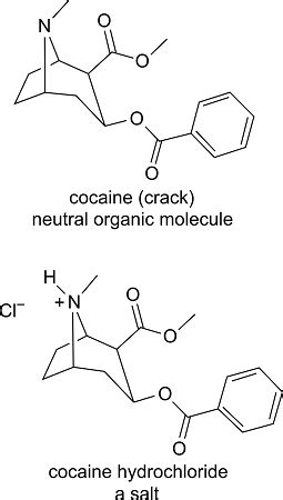 Cocaine is a widely abused, addicting drug. Cocaine is usually obtained ...