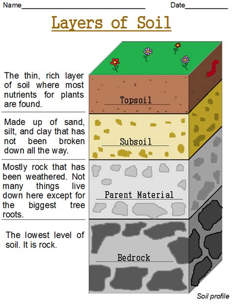 layers of soil are labeled in the diagram, and each layer contains different types of rocks