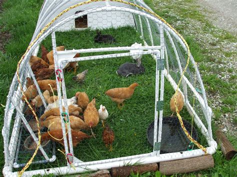 Redesigned Original PVC Chicken Tractor - Lewis Family Farm