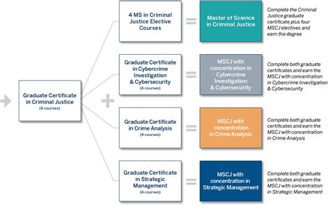 Criminal Justice Graduate Programs & Specializations | BU MET