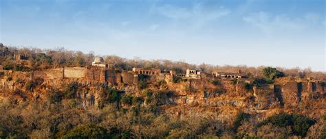 Ranthambore National Park, Best of Wildlife in Ranthambore National Park