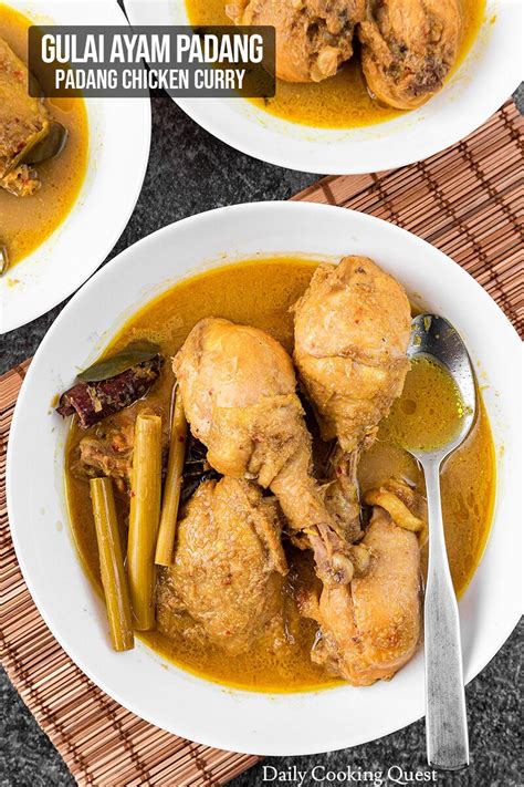 Gulai Ayam Padang - Padang Chicken Curry | Daily Cooking Quest