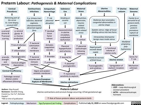 Preterm Labour: Pathogenesis & Maternal Complications | Calgary Guide