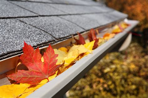 Keeping Gutters Clear While Leaves are Falling - Elementary Home Improvement