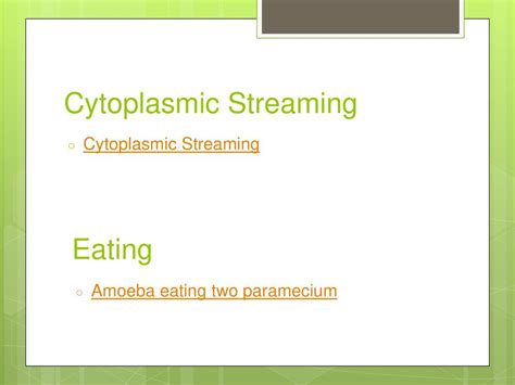 Lab Drawings & Cell Movement - ppt download