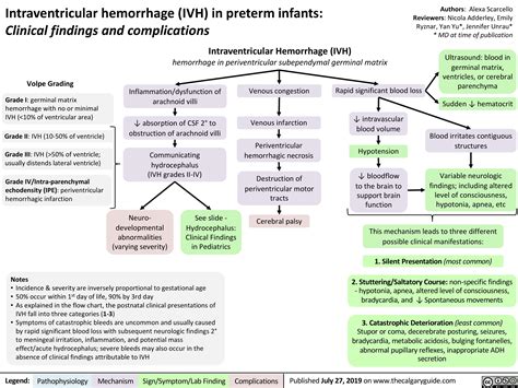 intraventricular-hemorrhage-in-preterm-infants-clinical-findings-and ...