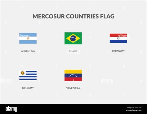 Mercosur Countries Rectangle flag icon set Stock Vector Image & Art - Alamy