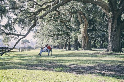 2 Plantations You Must Visit in Charleston | ZeebaLife