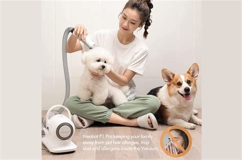 7 Best Pet Grooming Vacuum Kits in 2023 - Guiding Tech