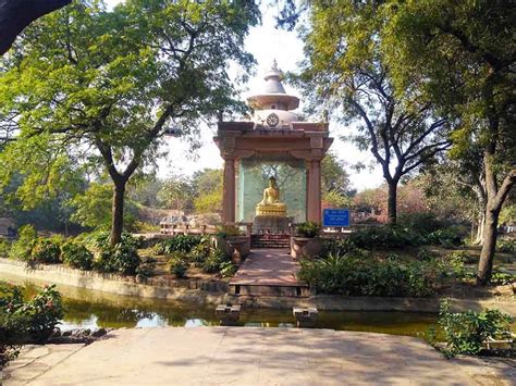 The 7 Mystical gardens of Delhi: A perfect spot for evenings