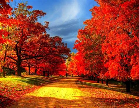 Beautiful Autumn... | Autumn leaves photography, Fall pictures, Autumn scenery