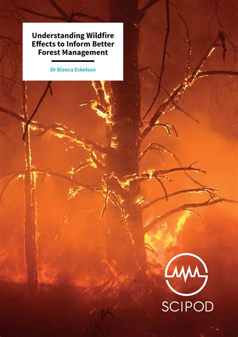 Understanding Wildfire Effects to Inform Better Forest Management - Dr Bianca Eskelson ...