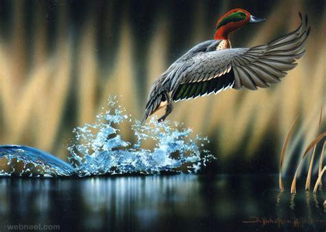 25 Most Beautiful Bird Photography examples and Tips for photographers