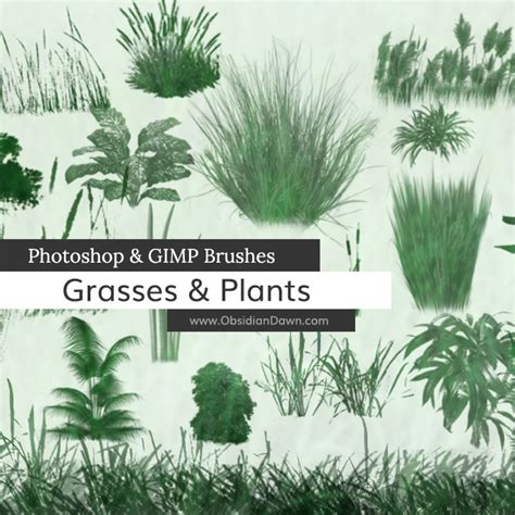 Grasses & Plants Photoshop & GIMP Brushes | Obsidian Dawn