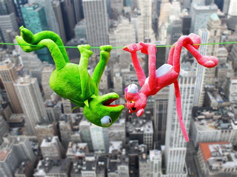 Free Images : flower, height, kermit, depend, plush toys, high ropes ...