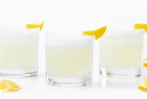 Gin Fizz Cocktail Recipe | Total Wine & More