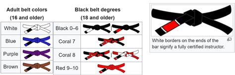 How do Jiu Jitsu Belts Work? | Ronin Athletics | Blog at RoninAthletics