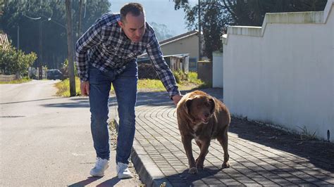 World's Oldest Dog Dies After Nearly Doubling His Life Expectancy - Daily Patriot Report