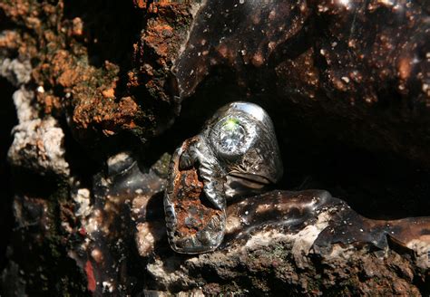 Alex Streeter Oddities: Silver-Gold Meteorite Ring w/Diamond