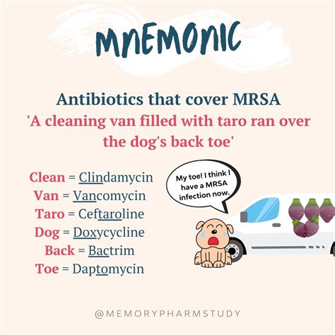 Antibiotics that Cover MRSA – Memory Pharm