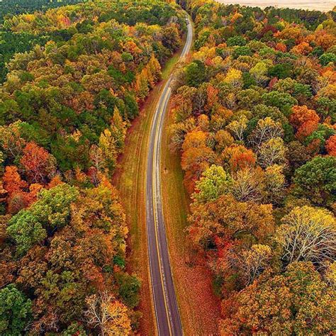 Fall foliage along the 440 mile Natchez Trace Trail that treks the ...